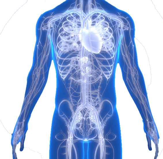 Ультразвуковая диагностика